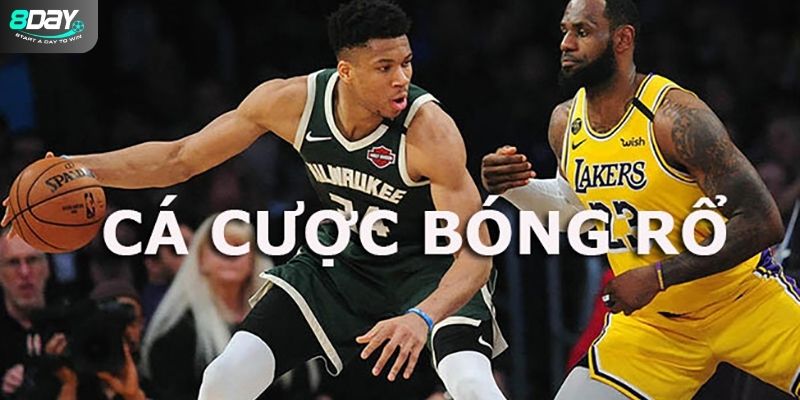 Mẹo chơi cá cược bóng rổ dành chiến thắng