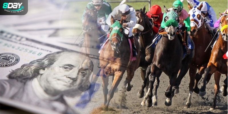 Bỏ túi bí quyết đặt cược đua ngựa dễ thắng nhất