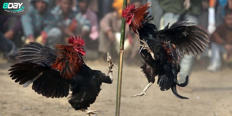 Chọn nơi uy tín để tham gia là một yếu tố quan trọng